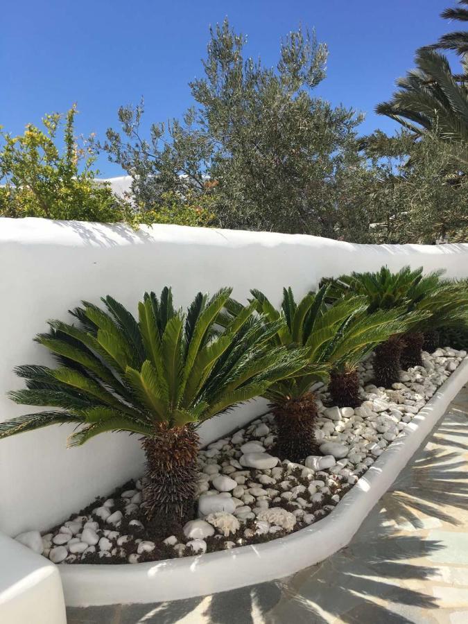 Myconian Sky Suites In Town Mykonos Town ภายนอก รูปภาพ